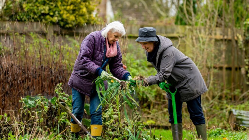 Top 10 Plants and Vegetables to Grow for a Healthy and Thriving Garden